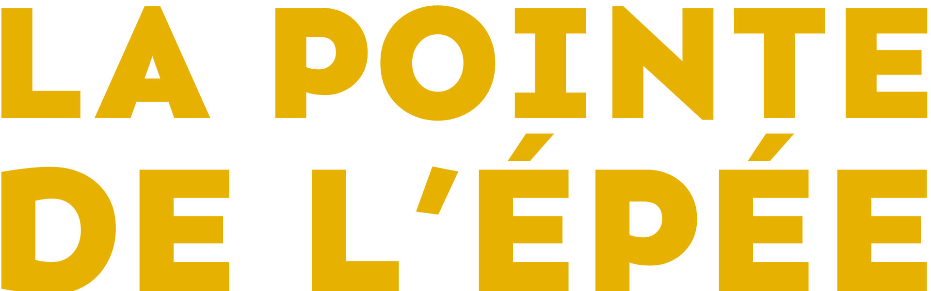 LA POINTE DE L'ÉPÉE